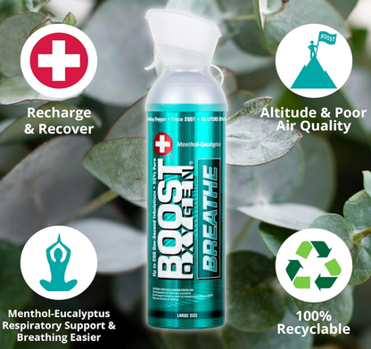 Boost Oxygen Large 95% Canister Eucalyptus