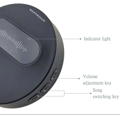 Reptronic DIY Wireless Doorbell- RPTDB35